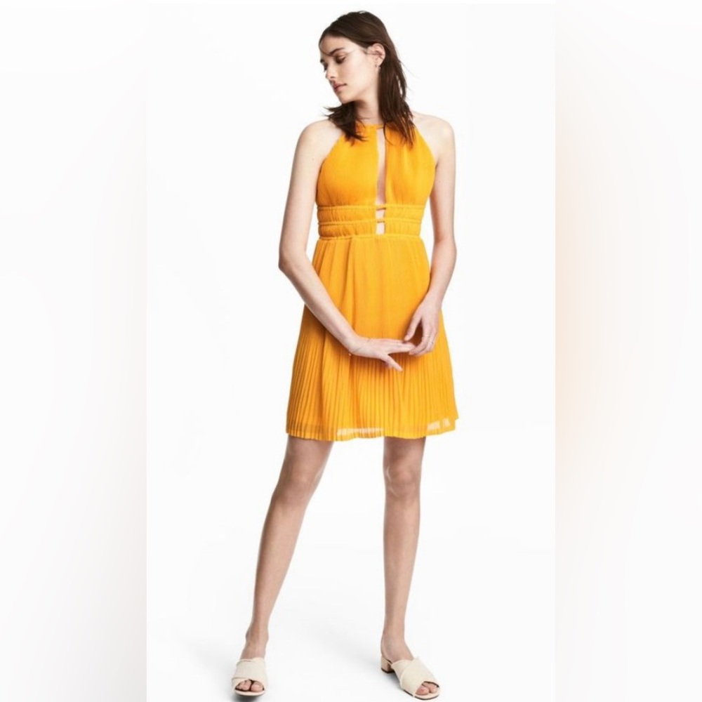 EUC Pleated Summer Dress